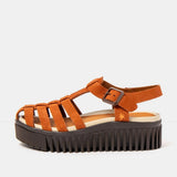 Art | 1575 | Brighton | Dark Orange