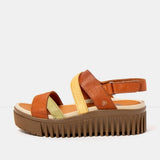 Art | 1676 | Brighton | Dark Orange/ Honey